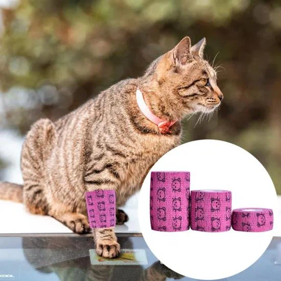 Cohesive Bandage for Pet